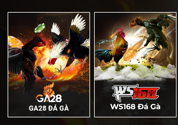 GA28 Đá Gà